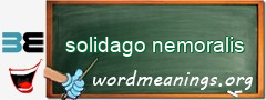 WordMeaning blackboard for solidago nemoralis